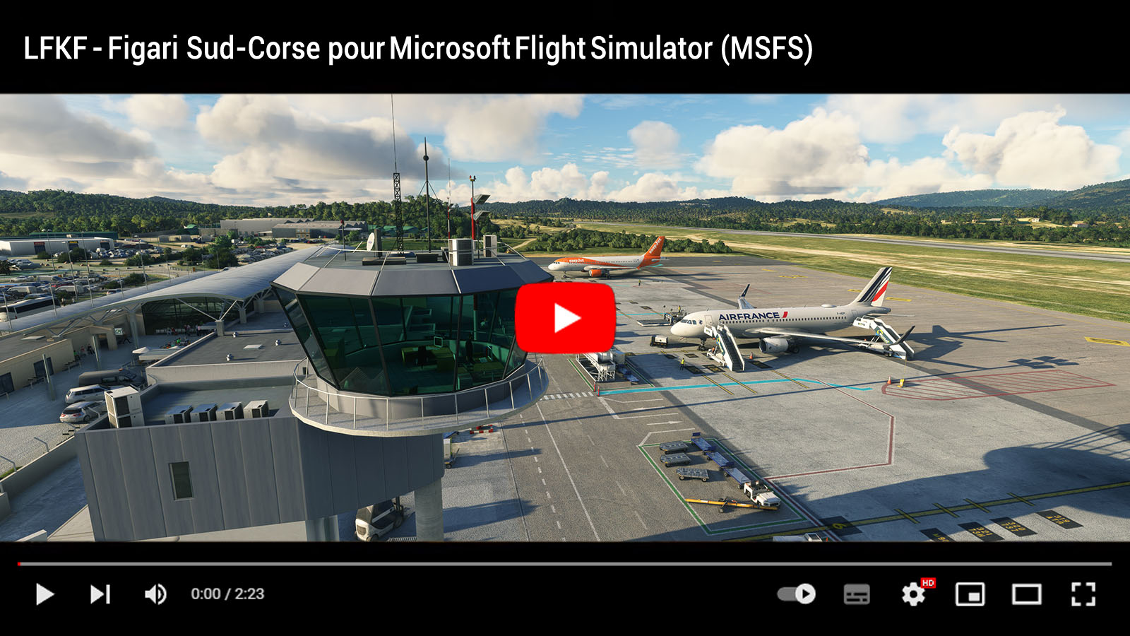 Figari_video